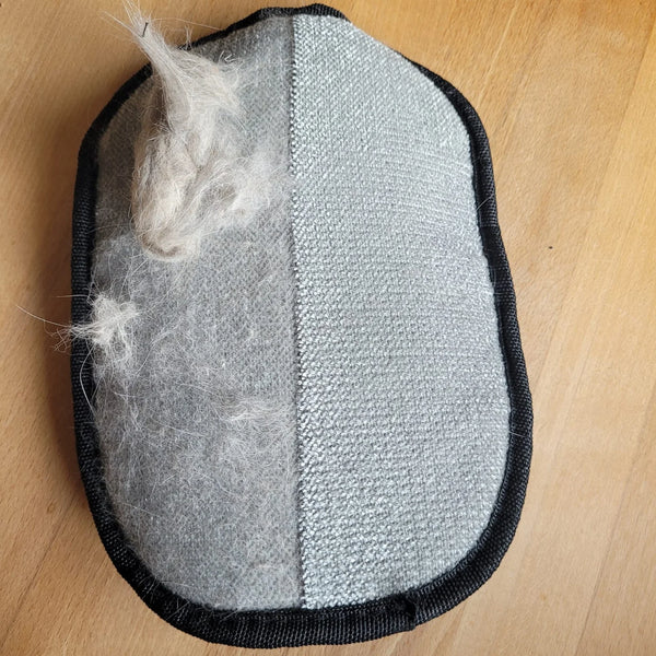 Velkommen til Masé-familien
